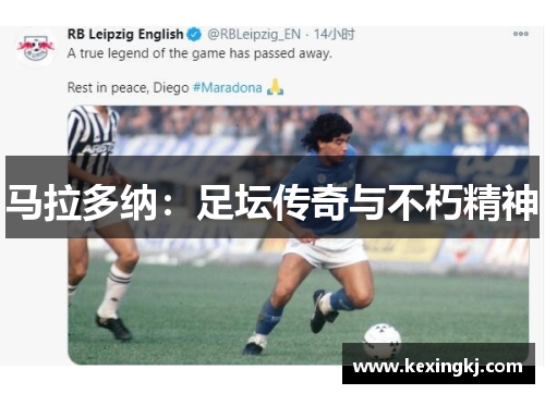 马拉多纳：足坛传奇与不朽精神